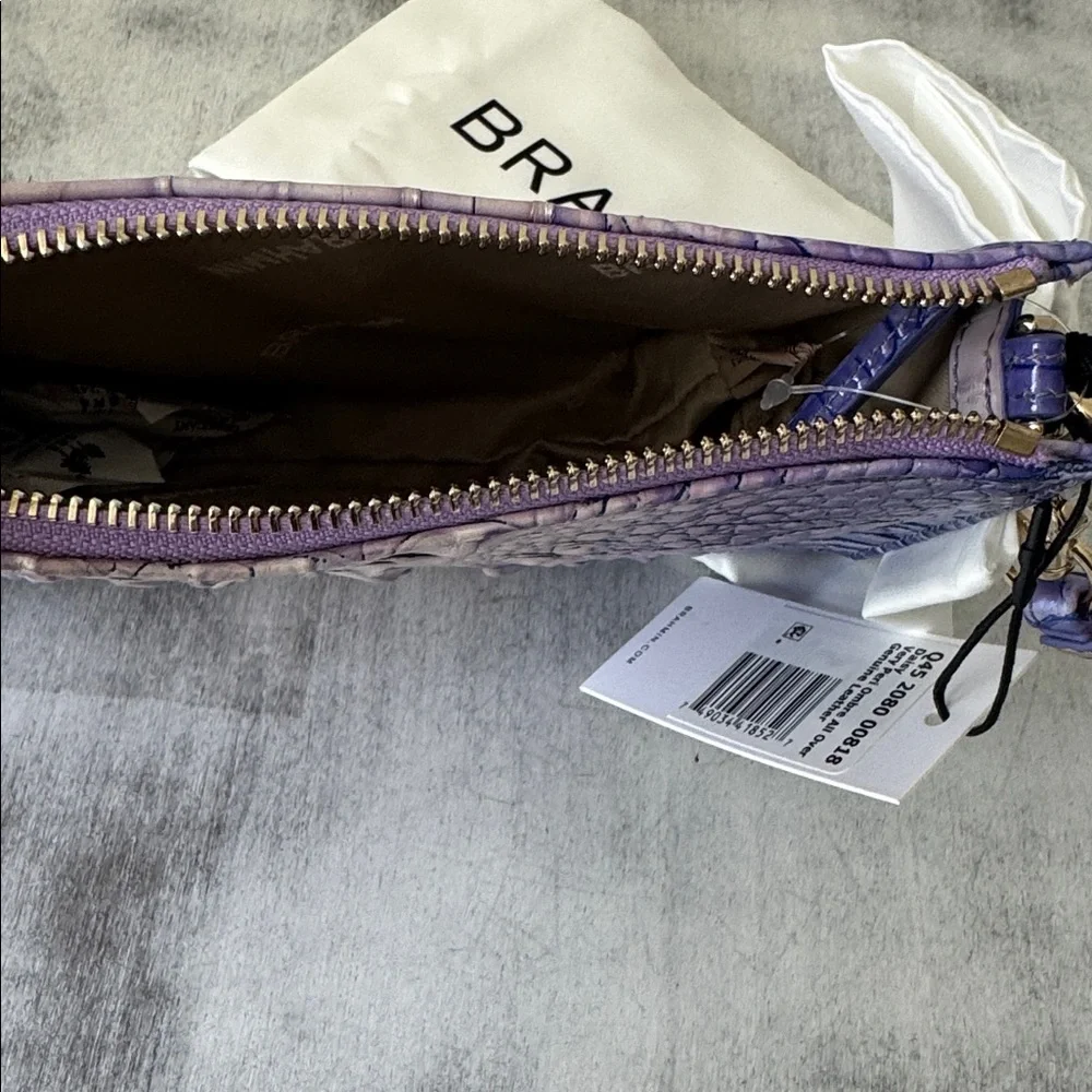 Brahmin daisy very